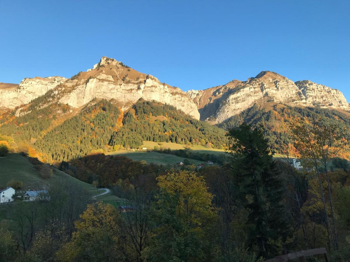 Magnifique T3 Entre Lac Et Montagne Pres D'Annecy Montmin Eksteriør billede